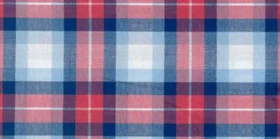 CAMISA CUADRO AZUL CON ROJO AP